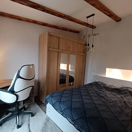 Cattleya Apartment Novigrad  Exterior photo